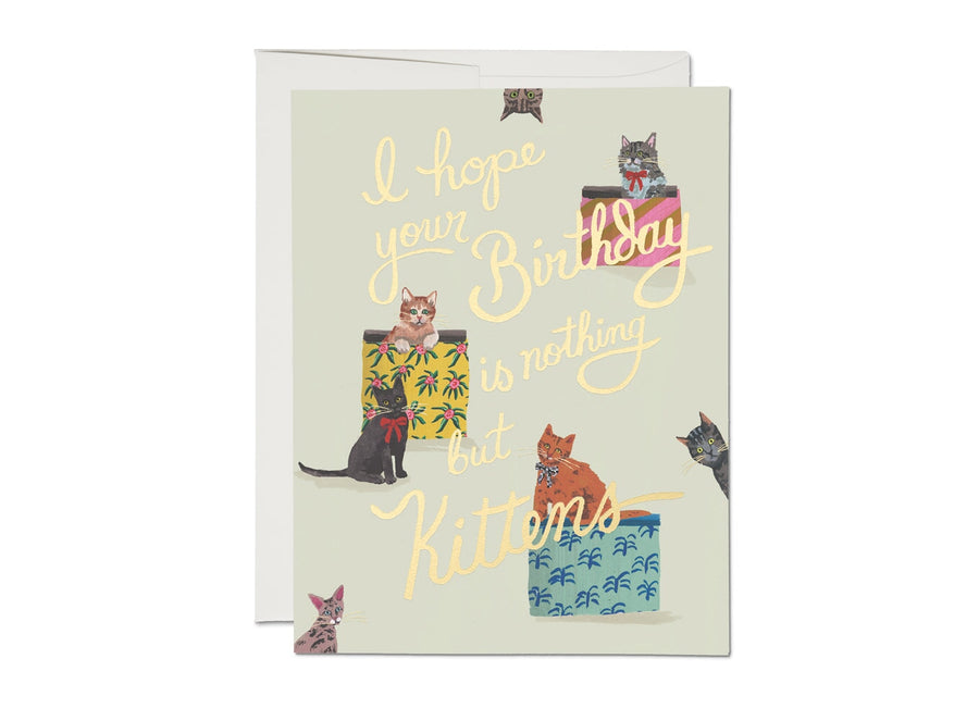 Nothing But Kittens Birthday Card cards & stationary Red Cap Cards 