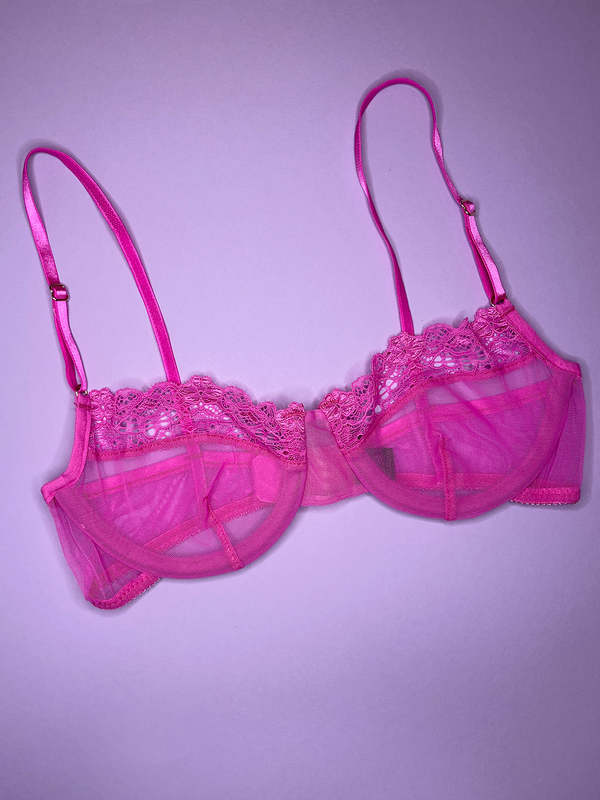 Whisper Sweet Nothings Demi Underwire Bra in French Rose General Only Hearts 