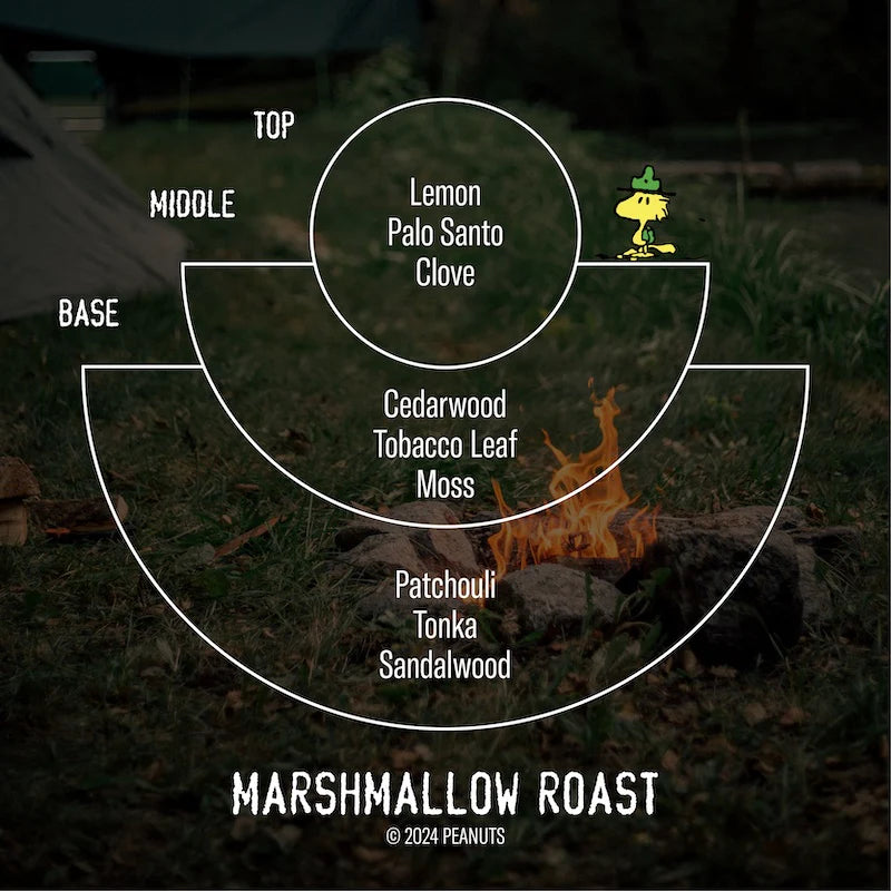 P.F. Candle Co. 7.2 oz Limited: Marshmallow Roast for Peanuts