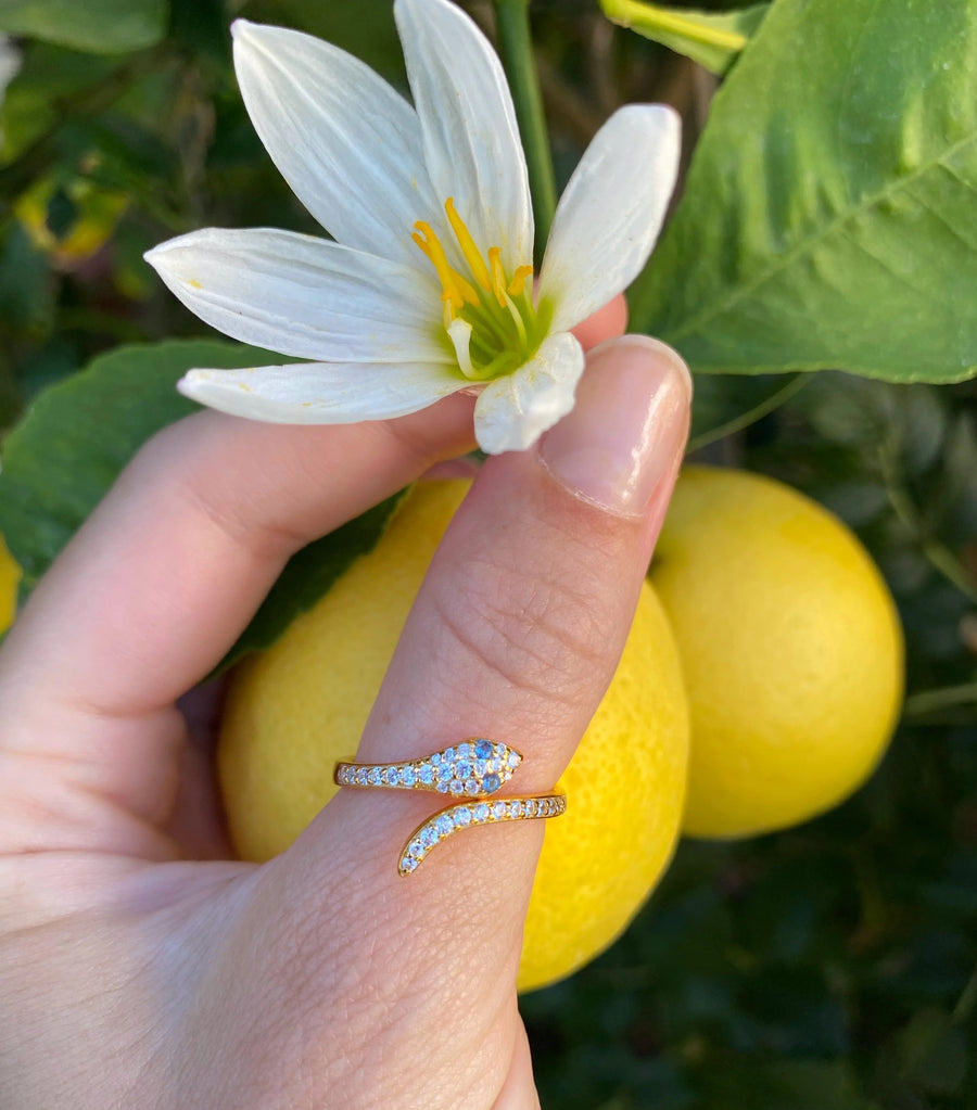 Snake Charmer Ring jewelry Native Gem 